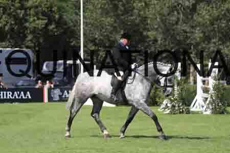 RUA-1179
