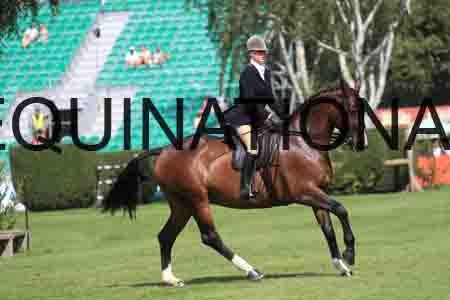 RUA-1234
