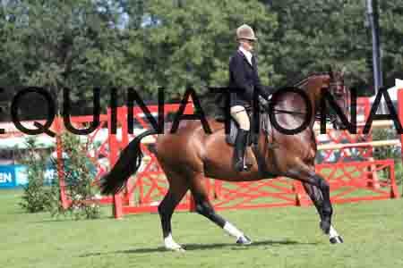 RUA-1235