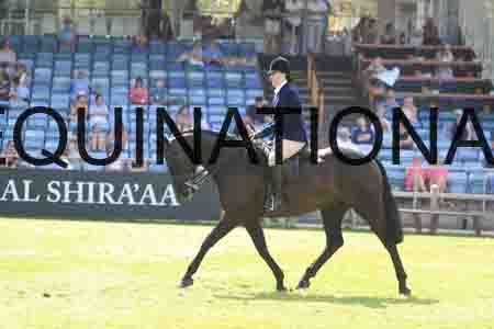 RUA-1246