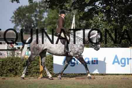 FOL-1746