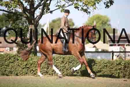 FOL-1770