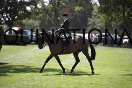 FOL-2532