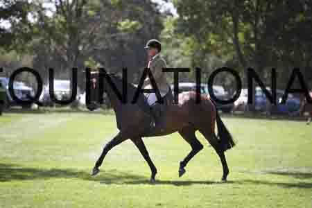 FOL-2546