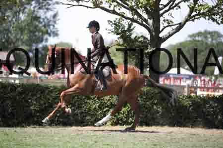 FOL-2608