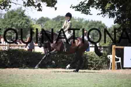 FOL-2669