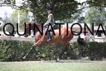 FOL-2685