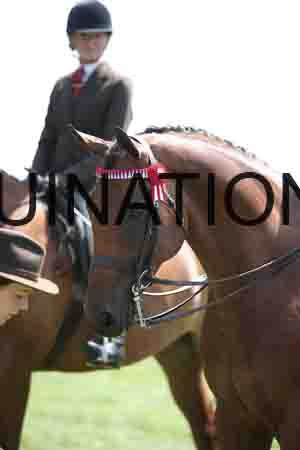 FOL-2825
