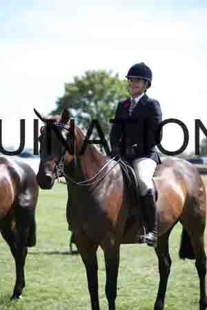 FOL-3311