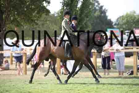 FOL-4245