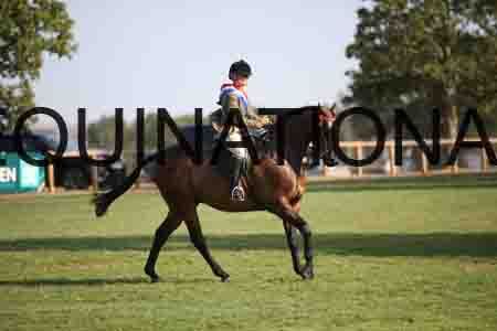 FOL-4367