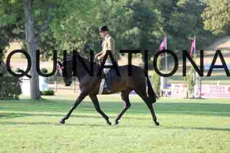 ALY-1118