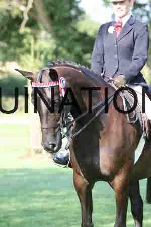 ALY-1232
