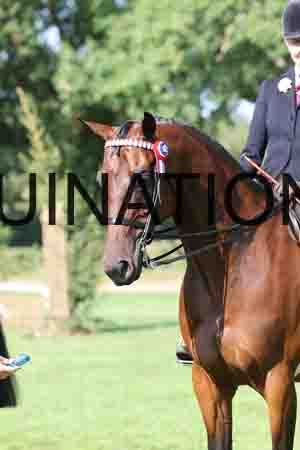 ALY-1258
