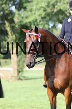 ALY-1259