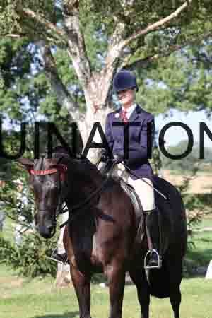 ALY-1272