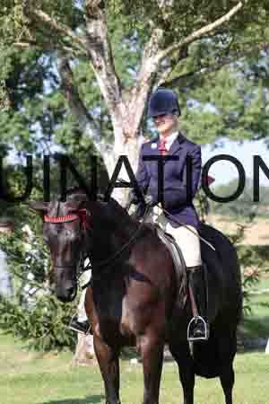 ALY-1273