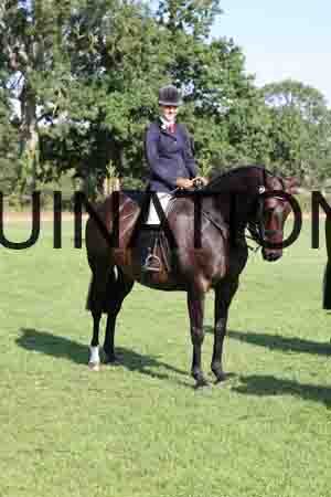 ALY-1292