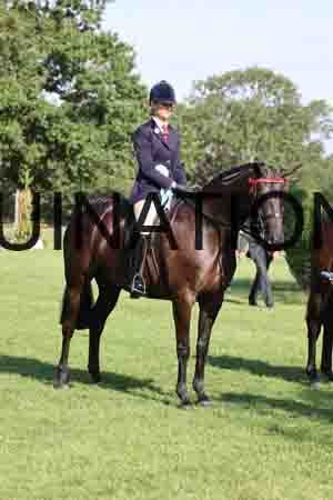 ALY-1409