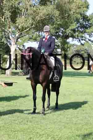 ALY-1418