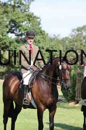 ALY-1427