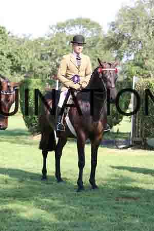 ALY-1433
