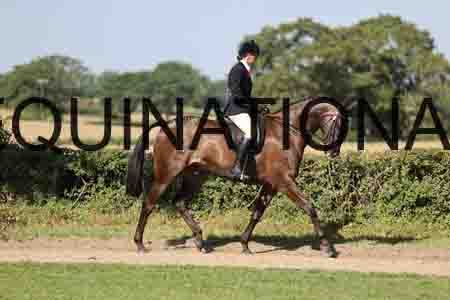 ALY-1467
