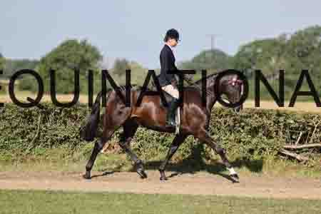 ALY-1472
