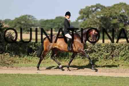 ALY-1473