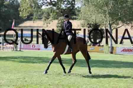 ALY-1529