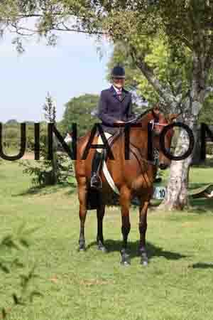 ALY-1770