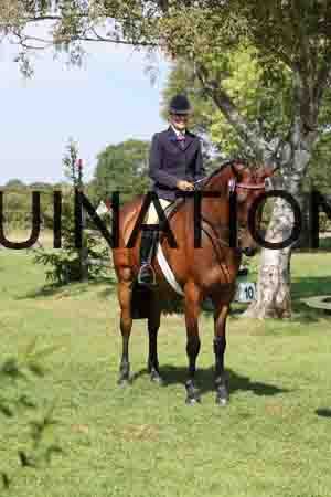 ALY-1771