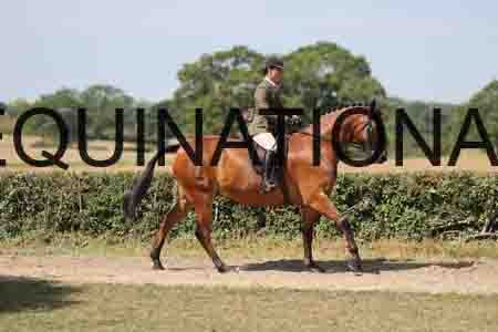 ALY-2032