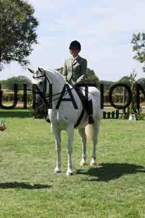 ALY-2354