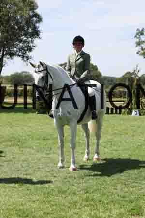ALY-2355