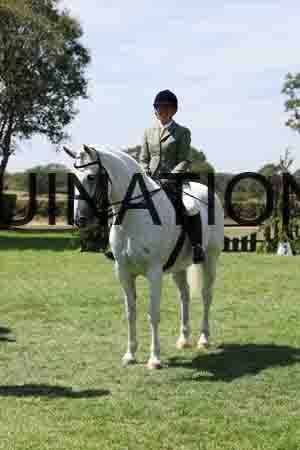 ALY-2356