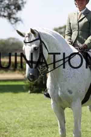 ALY-2359