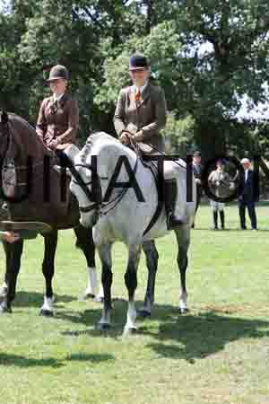 ALY-2435