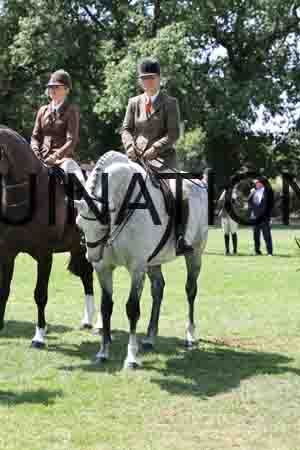 ALY-2437