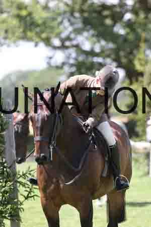 ALY-2498
