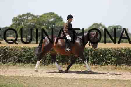 ALY-2543