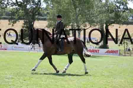ALY-2633