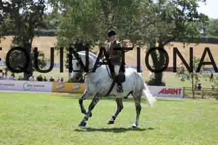 ALY-2652