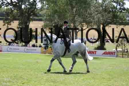 ALY-2654