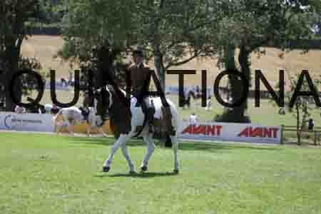 ALY-2657