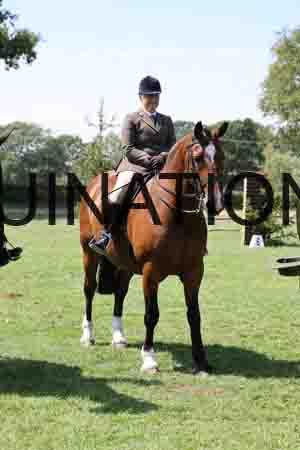 ALY-2959