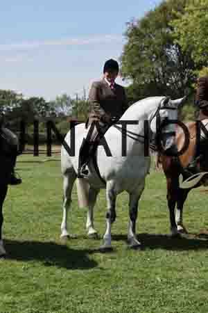 ALY-2977