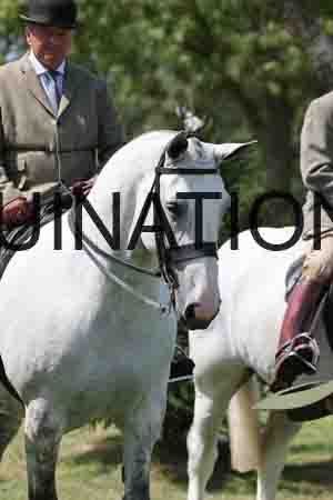 ALY-2984
