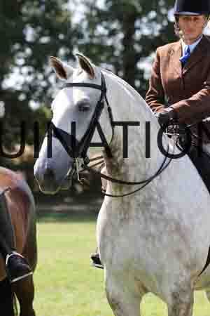 ALY-2997