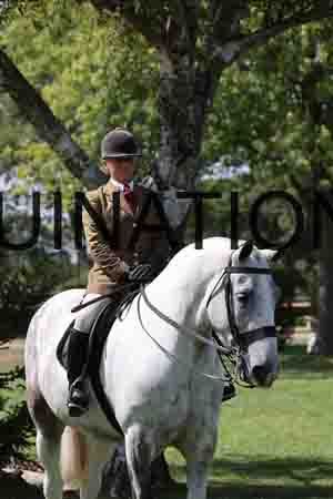 ALY-3008